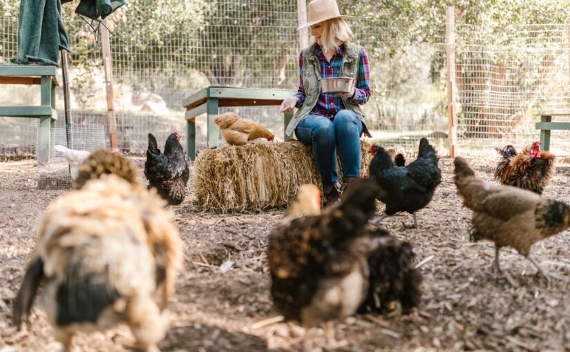 How to Start a Homestead on One Acre or Less